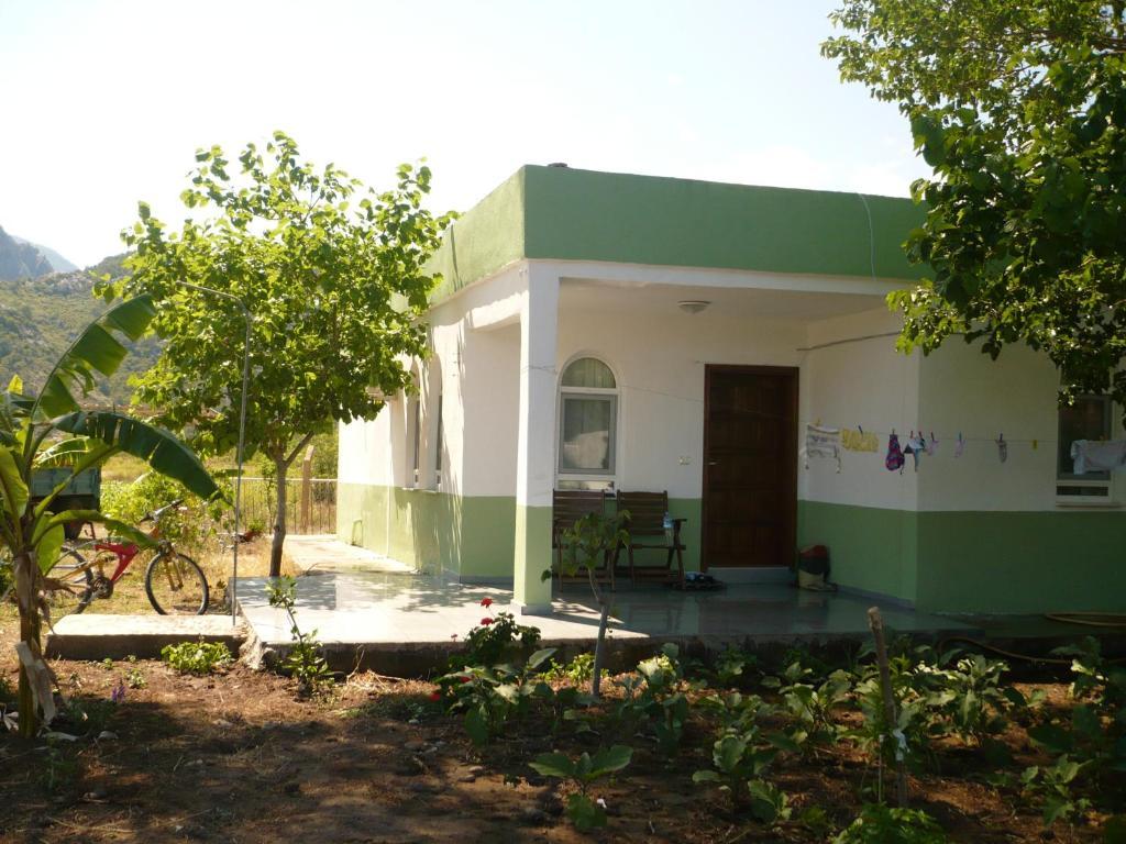 Kiyi Pansiyon Çıralı Chambre photo